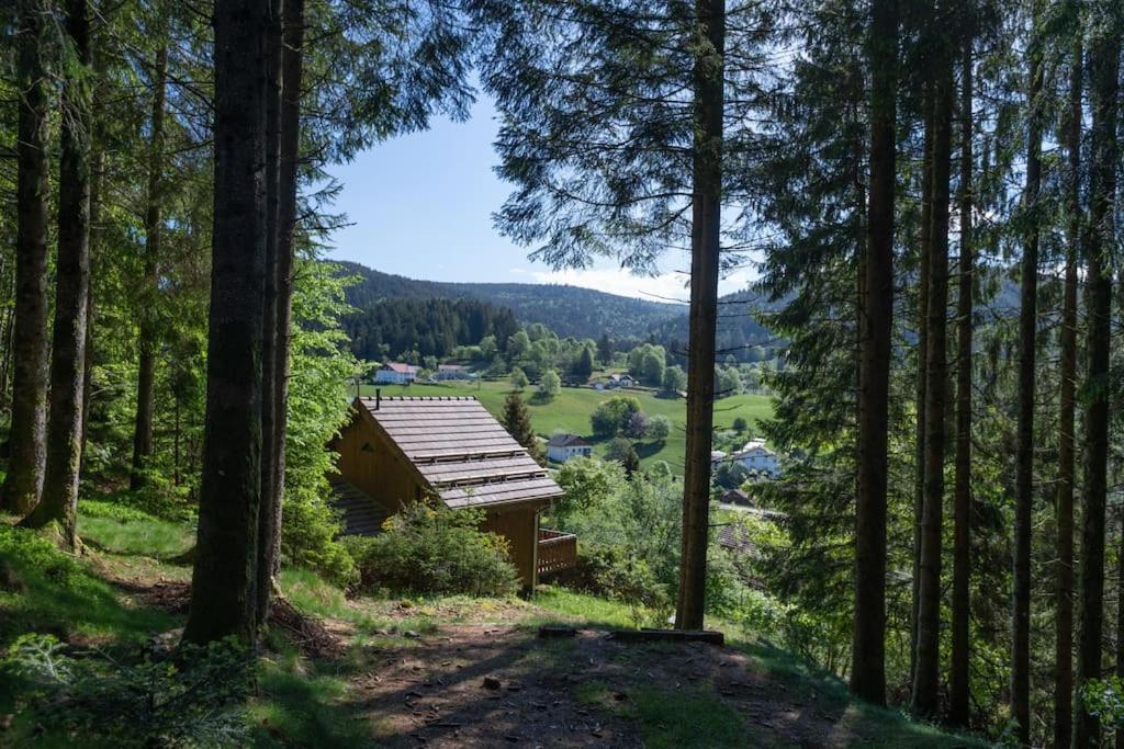 Charmant Chalet Cosy & Paisible En Pleine Nature - Refuge Idyllique Pour 5P Gérardmer Zewnętrze zdjęcie